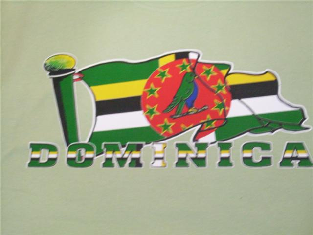 6 Pcs Caribbean design printed tshirts Car-1